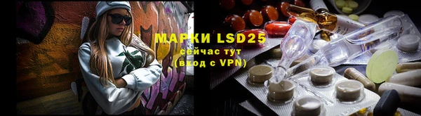 PSILOCYBIN Абдулино