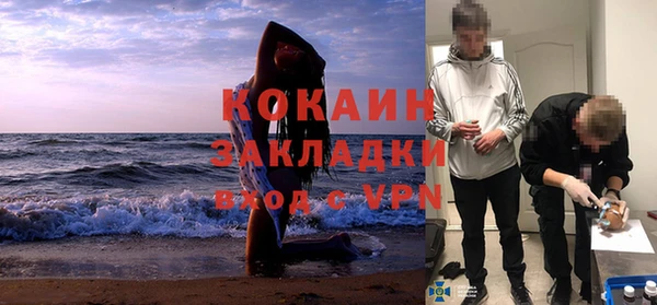 трава Абаза