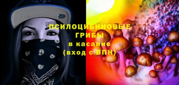 трава Абаза