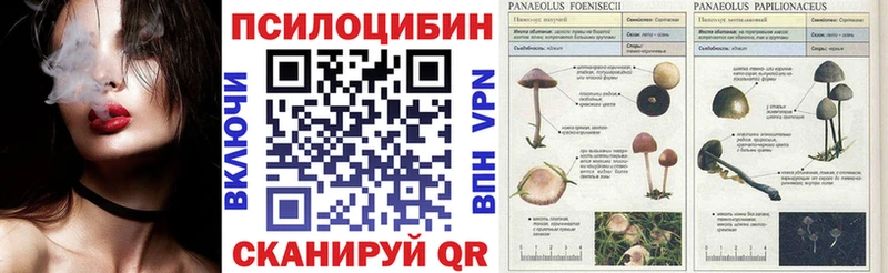 OMG рабочий сайт  Электроугли  Псилоцибиновые грибы Cubensis  цена  